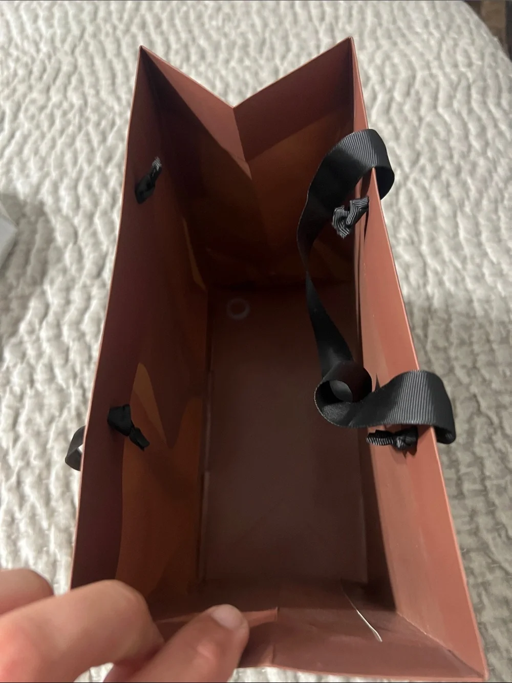 SKIMS Gift Bag with Black Ribbon Handles - Picture 6 of 6